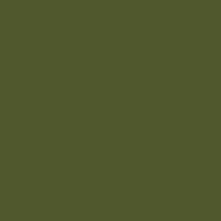 CS Abdeckfolie grün 5.0 m x 120m Mittelfaltung*ehemals V150455*